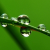 Free Digital photos