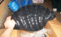 Black plastic shell bowl
