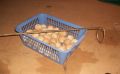 Coconut Balls and Irons 