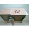 Lion Cajon-Go's