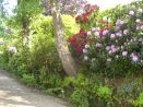 A & A Studley Cottage b and b in Tunbridge Wells has a quiet secluded private driveway and pretty surrouding gardens with free onsite parking for all guests.
