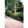 B&B Guests private driveway to Studley Cottage in Tunbridge Wells
