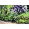 Quiet, secluded private driveway to Studley Cottage Bed and Breakfast in Tunbridge Wells, Kent