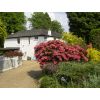 Bed and Breakfast guests quiet private driveway to Studley Cottage, Royal Tunbridge Wells