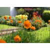 Pretty surrounding gardens in our bandb in Tunbridge Wells.