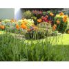 A & A Studley Cottage bed and Breakfast Accommodation in Tunbridge Wells, Kent