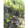 B&B Accommodation - A & A Studley Cottage, Tunbridge Wells, Kent.
