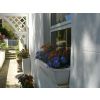 B&B entrance to A & A Studley Cottage Bed and Breakfast Accommodation in Royal Tunbridge Wells