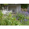 Bed and Breakfast at Studley Cottage in Tunbridge Wells - The sun terrace
