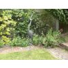 Gardens at A & A Studley Cottage B&B in Kent