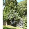 Delightful B&B in Kent