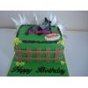 Appaloosa Horse on cake