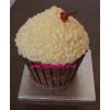 Giant Cupcake