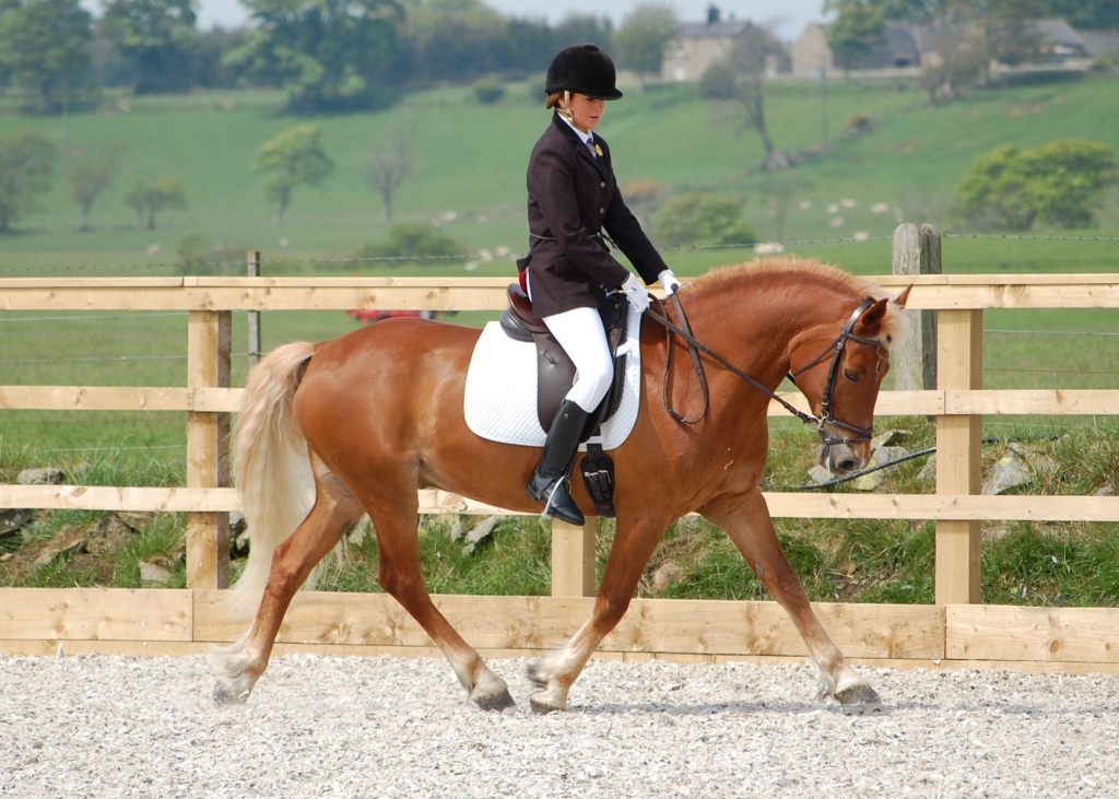  Hannah Poulter Dressage League Winner 2009
