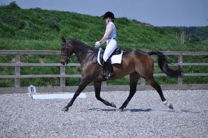  Dressage League 2009