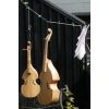 viols on the washing line