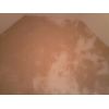 expert plasterer