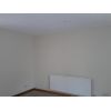 painter and decorator