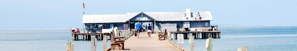 Ana Maria Island - Gulf Coast