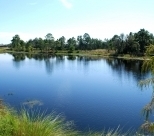 Watersong Lake