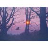 'Solstice Heron' oil on canvas (deep edge) 14" x 10". Private collection.