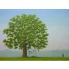 'Watching Oak' oil on canvas board 40cm x 30cm