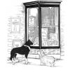 Woodstock Bookshop