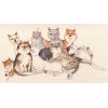 Cats