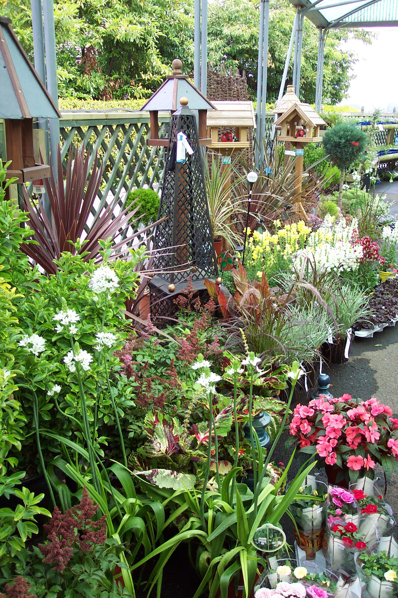A selection of our qualty plants.