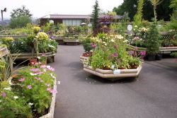 Outdoor plant area.