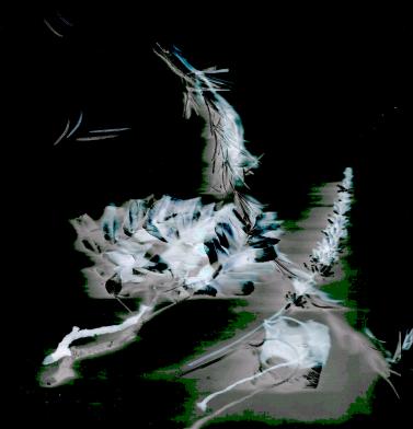 (c) 2006 benjamim silva-pereira + catalogue of wonders