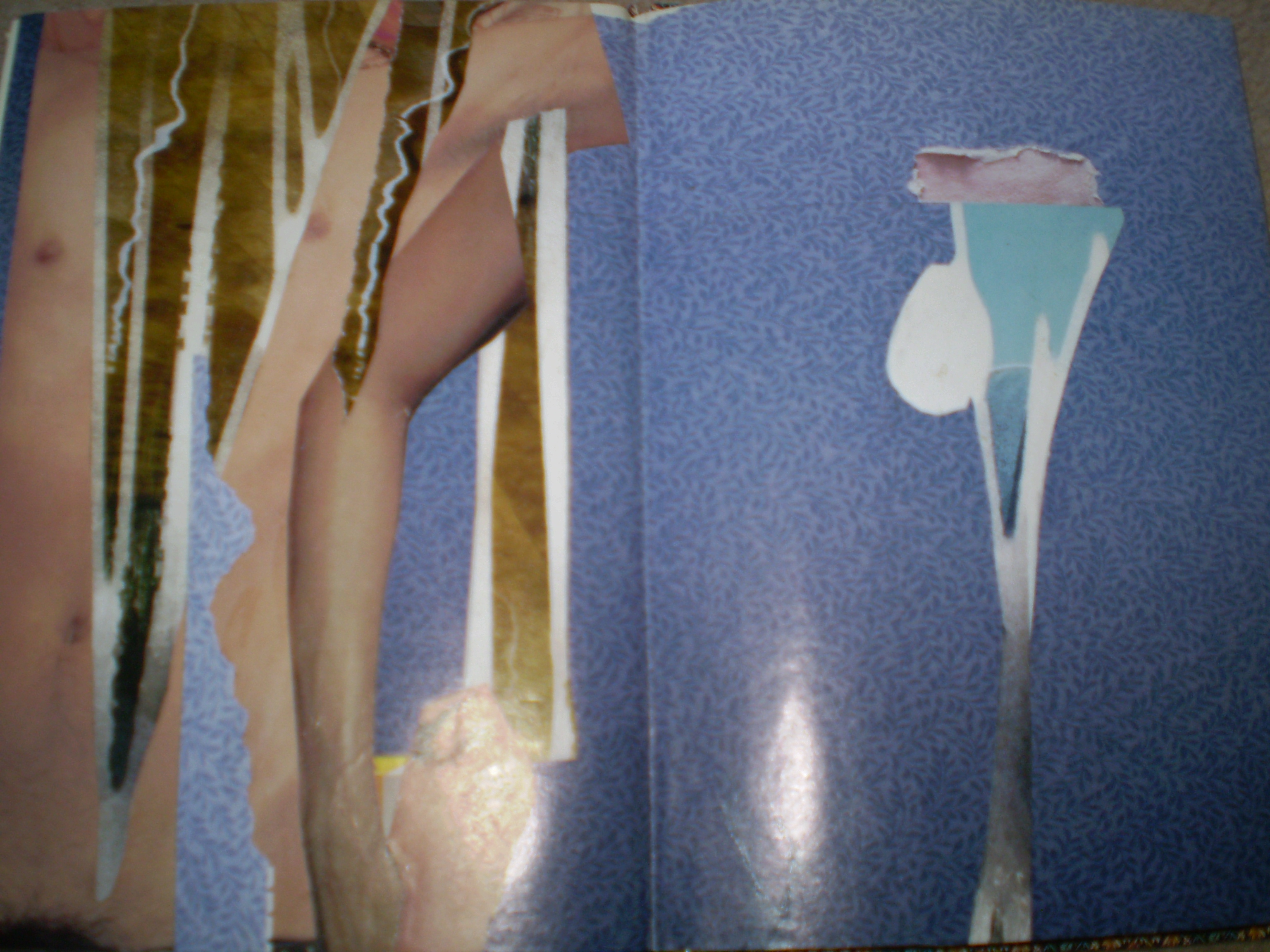 wassily blossfeldt (C) 2009 + catalogue of wonders
