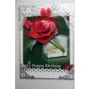 Single  Rose