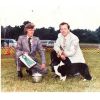 Cardigan Welsh Corgi Club America