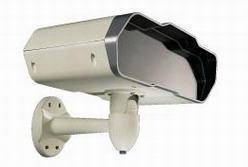 Iguana camera