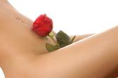 Female with Red Rose