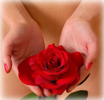 female holding red rose