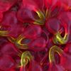 Double jelly cherries