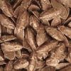 Chocolate flavour mice