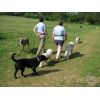 Bron &amp; Eiddwen of on our walk