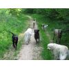 We are going this way now jack!!!!