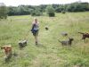 Cheryl and dogs off on walk