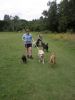 Bronja and some of the dogs at Farley Mount