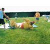 Sumo Wrestling 14/6/09