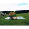 Sumo Wrestling 14/6/09
