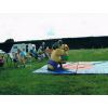 Sumo Wrestling 14/6/09