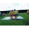 Sumo Wrestling 14/6/09
