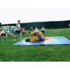 Sumo Wrestling 14/6/09