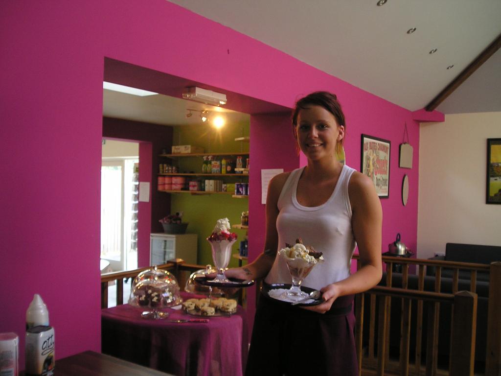 Ice cream is not just for Sundaes!
