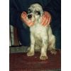 photo at 8 weeks